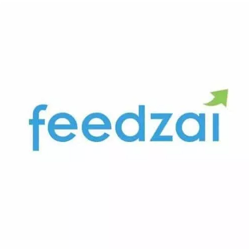 feedzai-LOGO-1_Picture